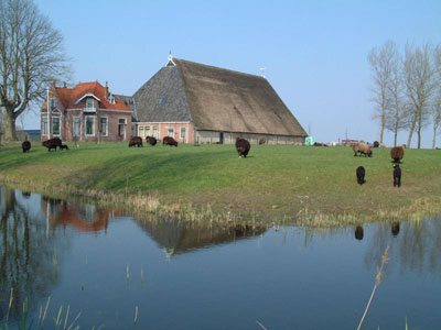 Tipica fattoria della Frisia
